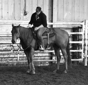 46775527_2033808616706561_693707294990401536_n